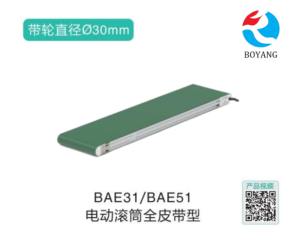电动滚筒全皮带型BAE31/BAE51输送机